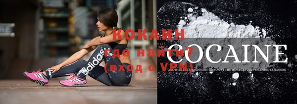 твердый Новозыбков