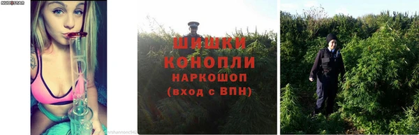 твердый Новозыбков
