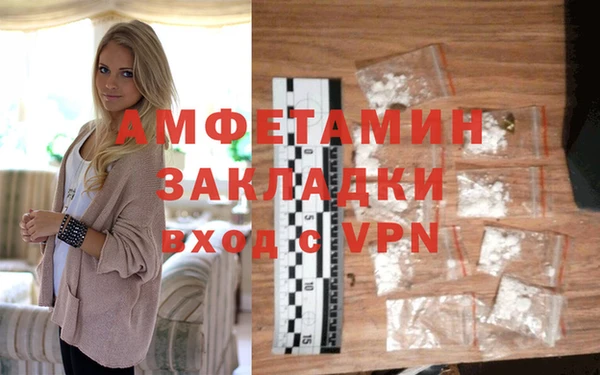 прущие грибы Новодвинск