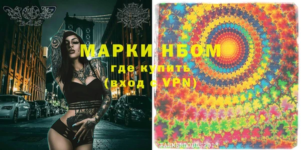 прущие грибы Новодвинск