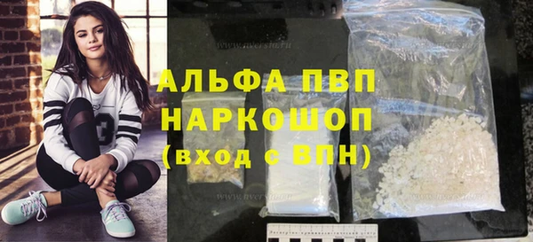 ПСИЛОЦИБИНОВЫЕ ГРИБЫ Валдай