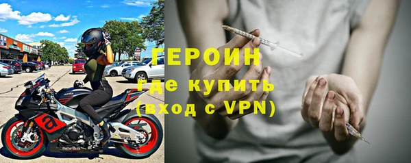 прущие грибы Новодвинск