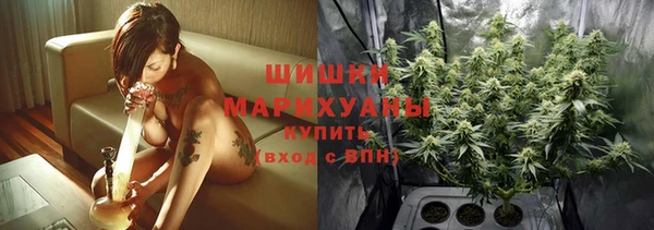твердый Новозыбков