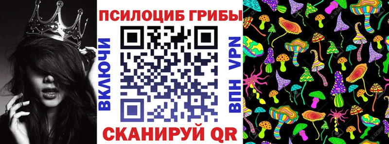 сколько стоит  Саров  Псилоцибиновые грибы Psilocybine cubensis 