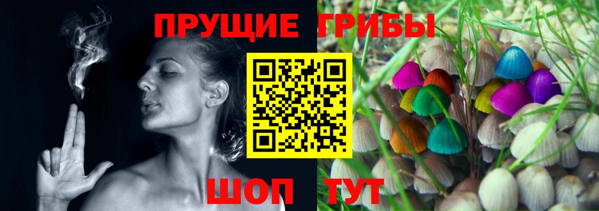 Галлюциногенные грибы Psilocybe  Вход с VPN  Псилоцибиновые грибы ЛСД  Саров 